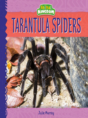 cover image of Tarantula Spiders